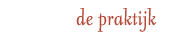 de praktijk